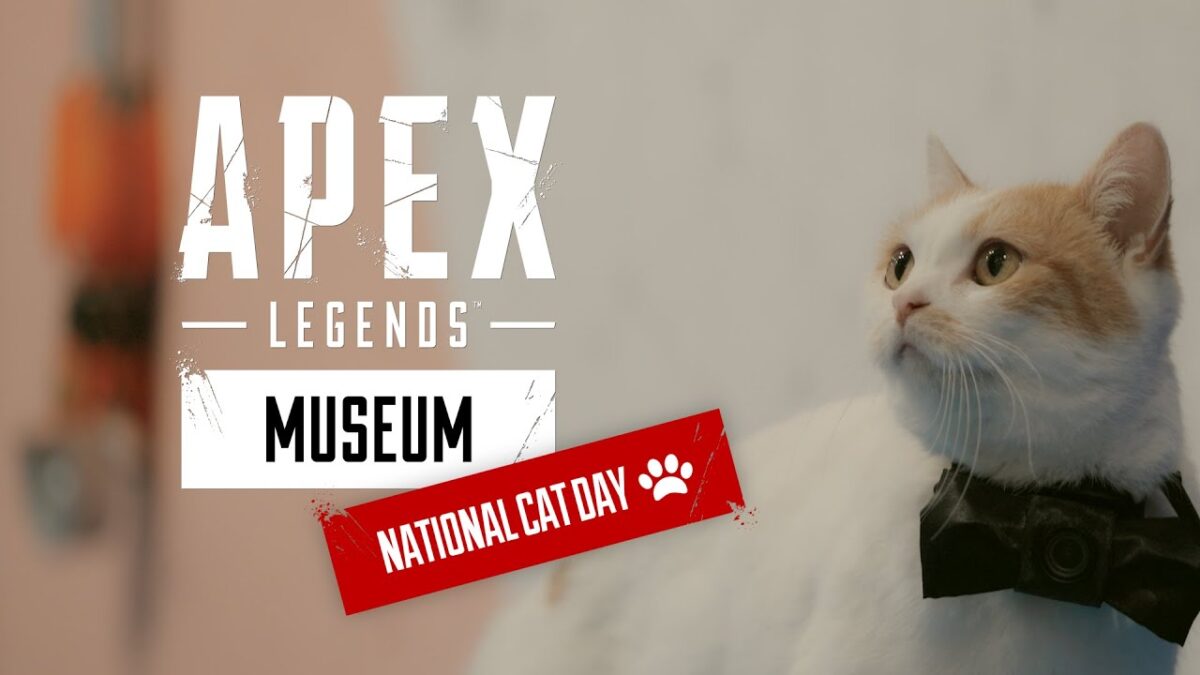 #猫の日 『Apex Legends』 SNSクリエイティブを制作